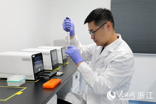 浙江不斷“漲粉”的魅力解析與技術支持